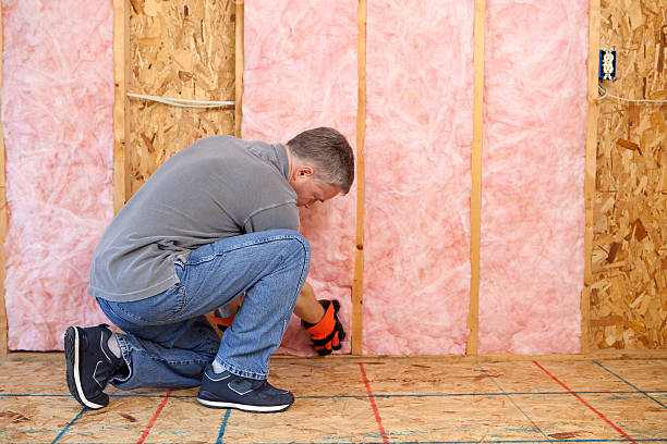 Best Types of Insulation in Yosemite Lakes, CA